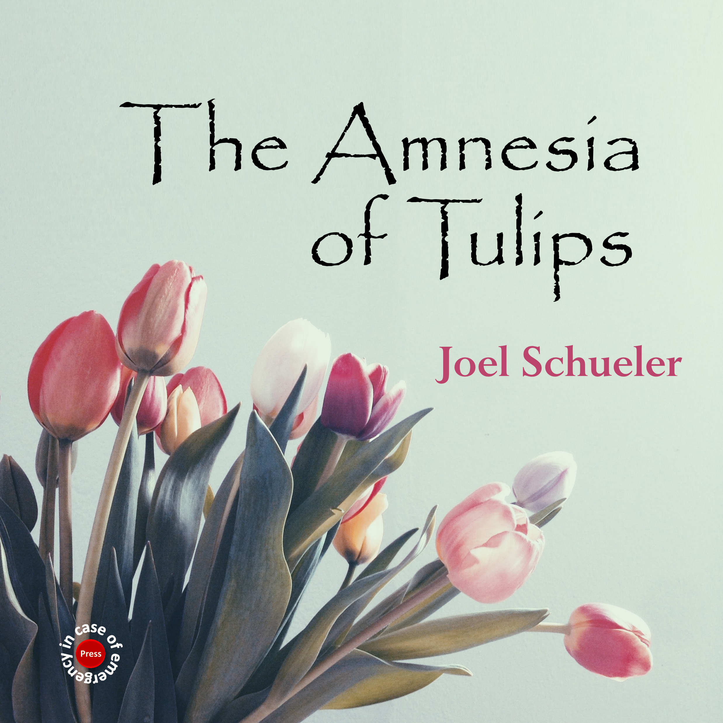 The Amnesia of Tulips Cover